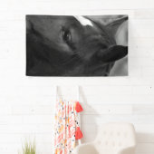 Horse bnrcna banner (Insitu)