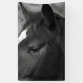 Horse bnrcna banner (Vertikal)