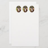 HORSE BRIEFPAPIER (Vorne/Hinten)