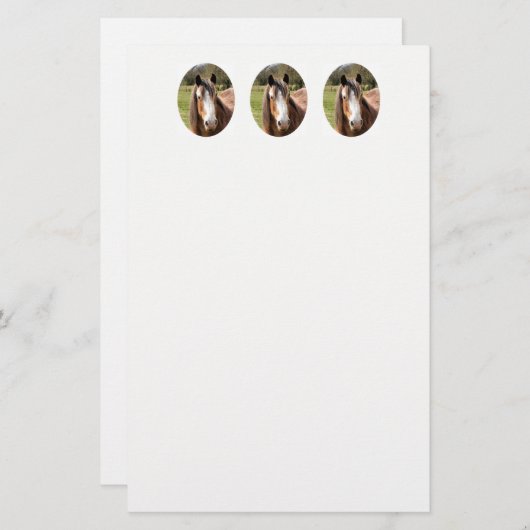 HORSE BRIEFPAPIER (Vorne/Hinten)