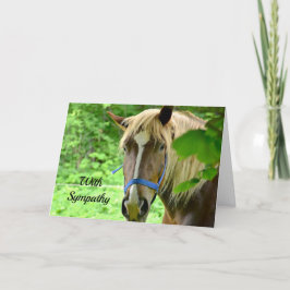 Horse Brown Belgian Draft Photo Sympathy Karte
