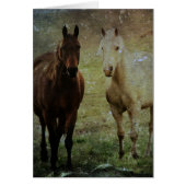 Horse Buddies Grunge (Vorne)