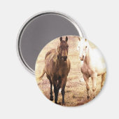 Horse Buddies Sepia Magnet (Vorderseite/Rückseite)