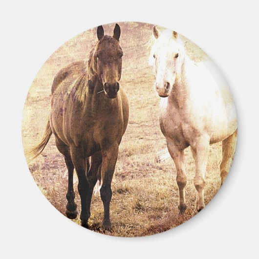 Horse Buddies Sepia Magnet (Vorne)
