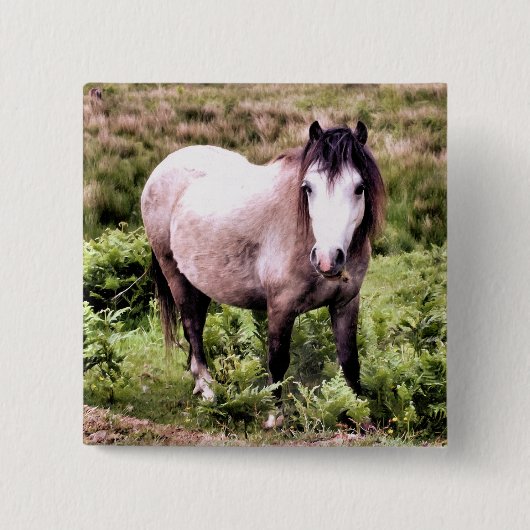 HORSE BUTTON (Vorderseite)