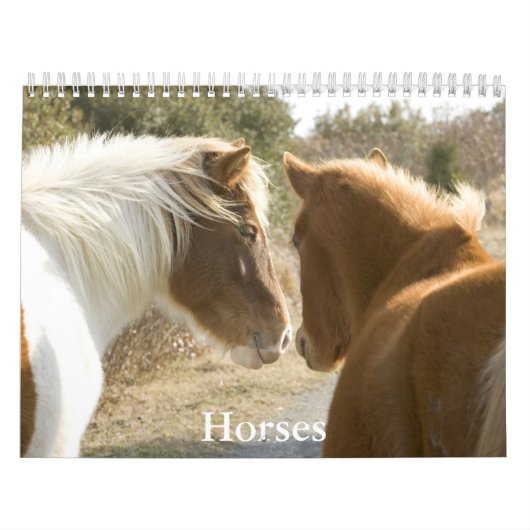 Horse Calendar Kalender (Titelbild)