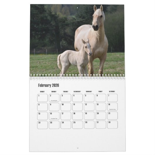 Horse Calendar Kalender (Feb 2026)