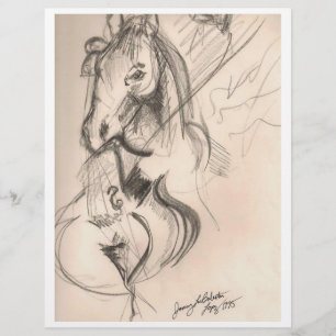 Horse Cello Zeichnend Flyer