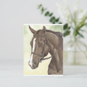 HORSE Champion Anlage QH Mare Postkarte (Stehend Vorderseite)