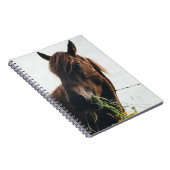HORSE CHEWING GRASS NOTIZBLOCK (Rechte Seite)
