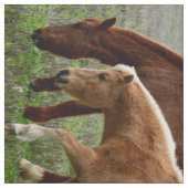 Horse_Collage, Combed Cotton (56" Breite) Material Stoff (Muster)