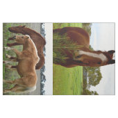 Horse_Collage, Combed Cotton (56" Breite) Material Stoff (Fat Quarter (45,7 x 55,9 cm))