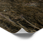 HORSE COUPLE POSTER (Ecke)