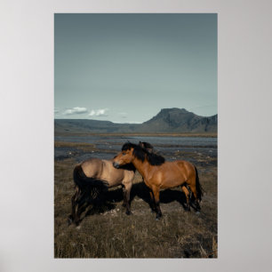 HORSE COUPLE POSTER