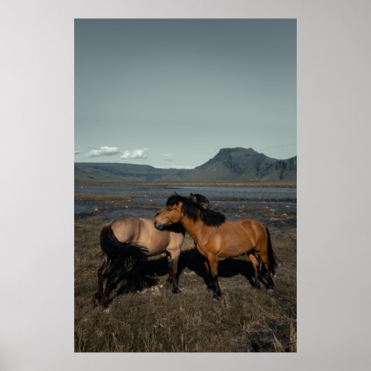 HORSE COUPLE POSTER (Vorne)
