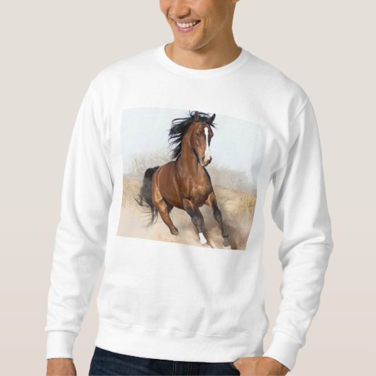 horse_ebooks sweatshirt (Vorderseite)