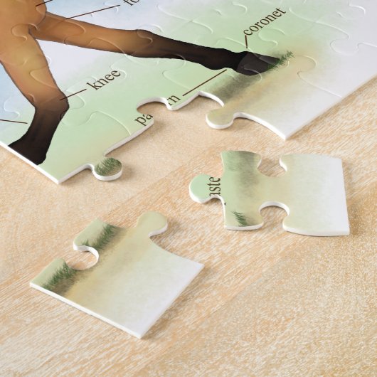 Horse Educational Equine Anatomie Puzzle (Seite)