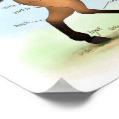 Horse Educational Equine Anatomy Poster (Ecke)