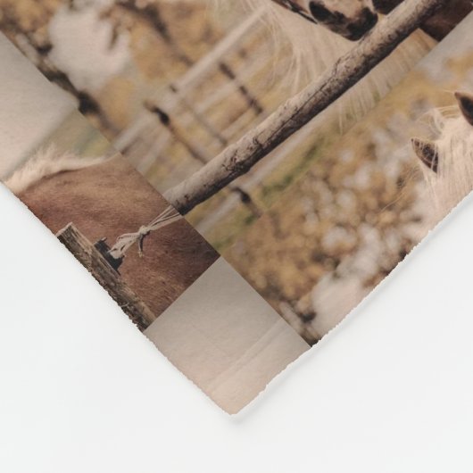 HORSE FLEECE BLANKET. (Ecke)