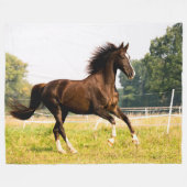 HORSE FLEECEDECKE (Vorderseite (Horizontal))