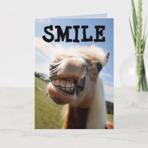 HORSE FUNNY SMILE BIRTHDAY GREETING CARD KARTE