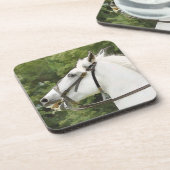 HORSE GETRÄNKEUNTERSETZER (Linke Seite)