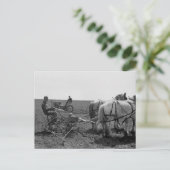 Horse-Gezeichnet Maisplanter, 1940 Postkarte (Stehend Vorderseite)