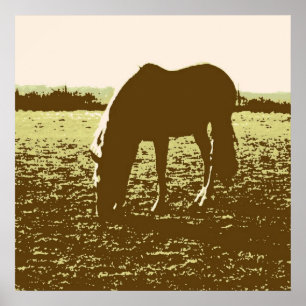 Horse Grazing Pop Art Poster