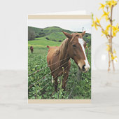 Horse Greeting Card Karte (Gelbe Blume)