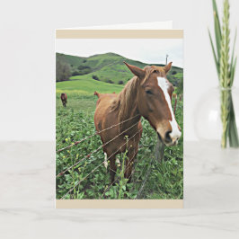 Horse Greeting Card Karte