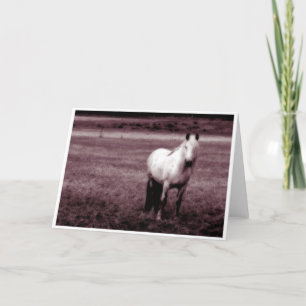 Horse Greetings Card Karte