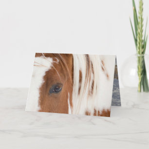 Horse Grußkarte des Oberhaupts Karte