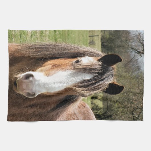 HORSE HANDTUCH (Horizontal)