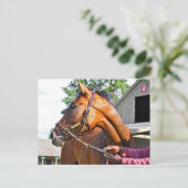 Horse Haven Barn #47 in Saratoga Postkarte (Stehend Vorderseite)