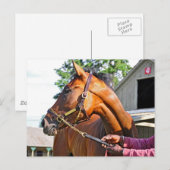 Horse Haven Barn #47 in Saratoga Postkarte (Vorne/Hinten)