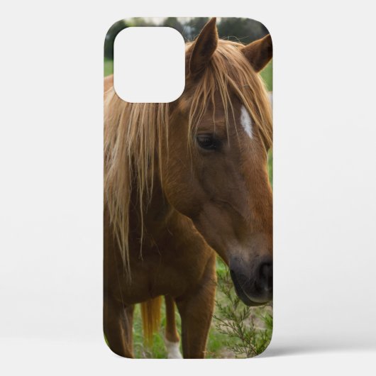 Horse Hello iPhone Case (Rückseite)