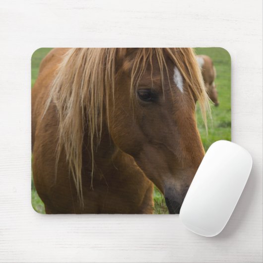 Horse Hello Mousepad (Mit Mouse)