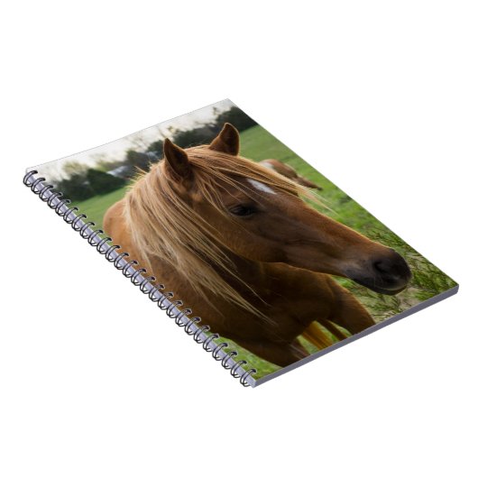 Horse Hello Notizblock (Rechte Seite)