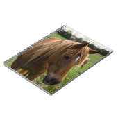 Horse Hello Notizblock (Linke Seite)