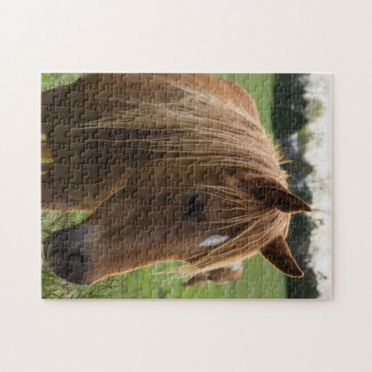 Horse Hello Puzzle (Horizontal)