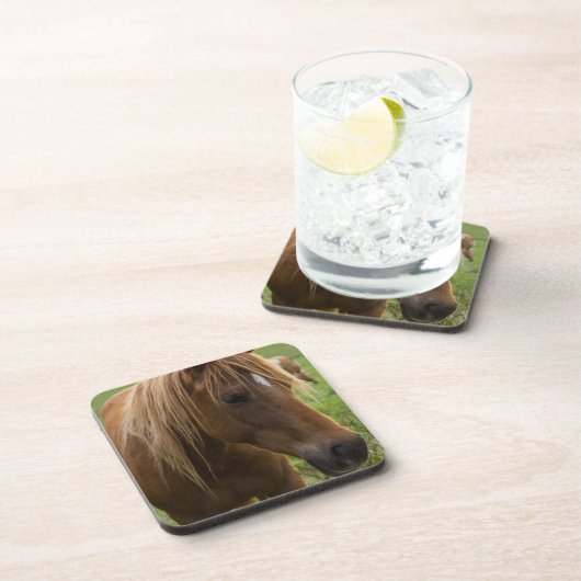 Horse Hello Untersetzer (Rechte Seite)