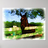 Horse Hello Watercolor Poster (Vorne)