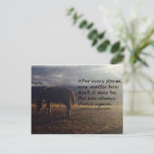 Horse Hope Postkarte (Stehend Vorderseite)