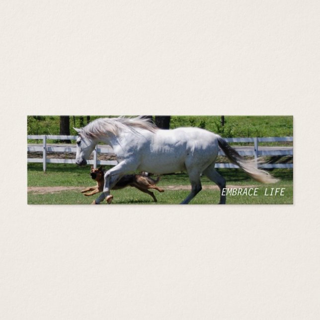 HORSE & HUNDE EMBRACE LIFE (Vorderseite)