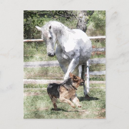 HORSE & HUNDERSPIELWASSERFARBE POSTKARTE (Vorderseite)