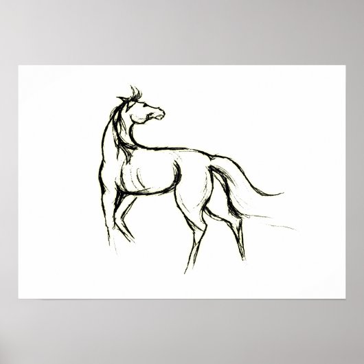 Horse Illustration Poster (Vorne)