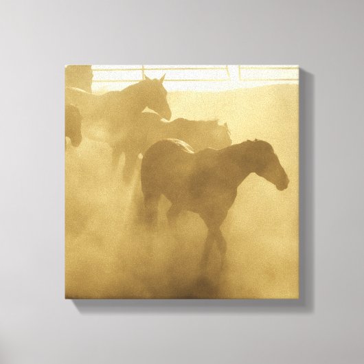 Horse in der Corral Leinwanddruck (Vorderseite)
