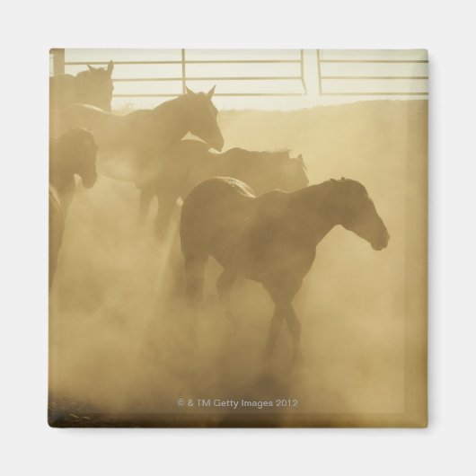 Horse in der Corral Magnet (Vorne)