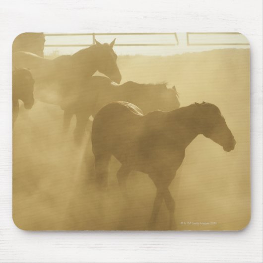 Horse in der Corral Mousepad (Vorne)