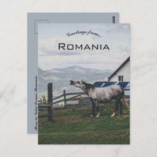 Horse in Vatra Dornei Romania Postkarte (Vorne/Hinten)